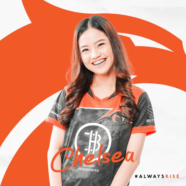 TNC Mobile Legends streamer branding graphics